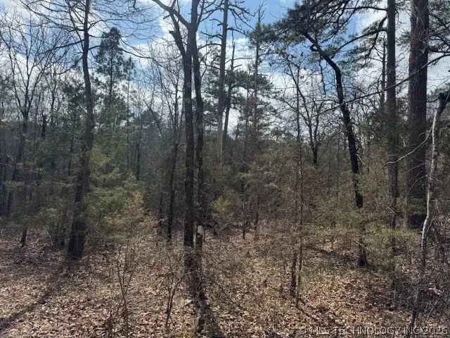 Turkey Creek Road, Red Oak, OK 74563 - #1