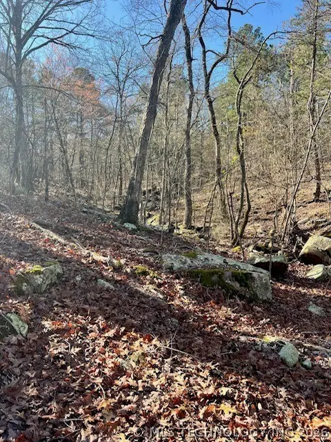 0000 Panola, Panola, OK 74559 - #2