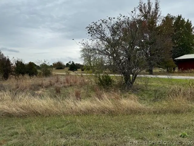20 Dogwood, Burneyville, OK 73430 - #2