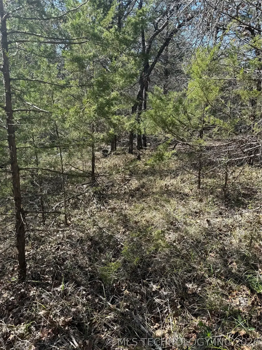 Turtle Creek, East Love, OK 73459 - #2
