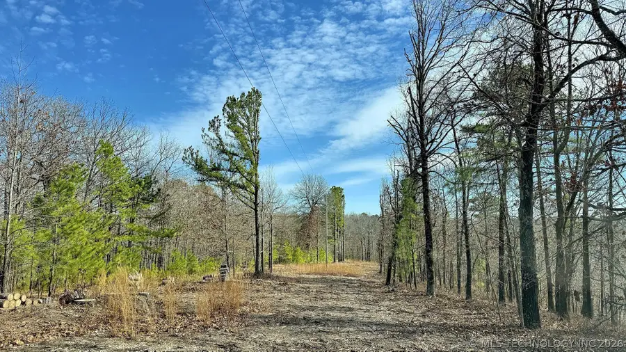 238 Fox Track Trail, Kansas, OK 74347 - #2