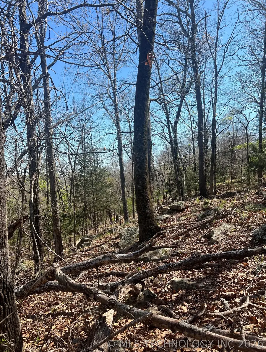 06 S 511 Road, Cookson, OK 74427 - #2