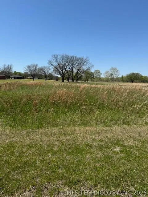 Falconhead, Burneyville, OK 73430 - #2