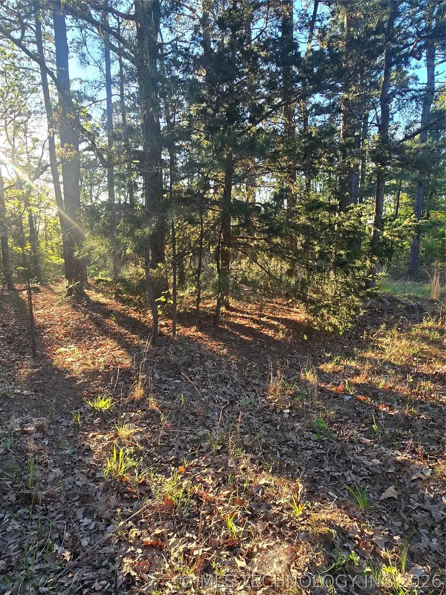 77 NE Little Flat Top, Moyers, OK 74523 - #2