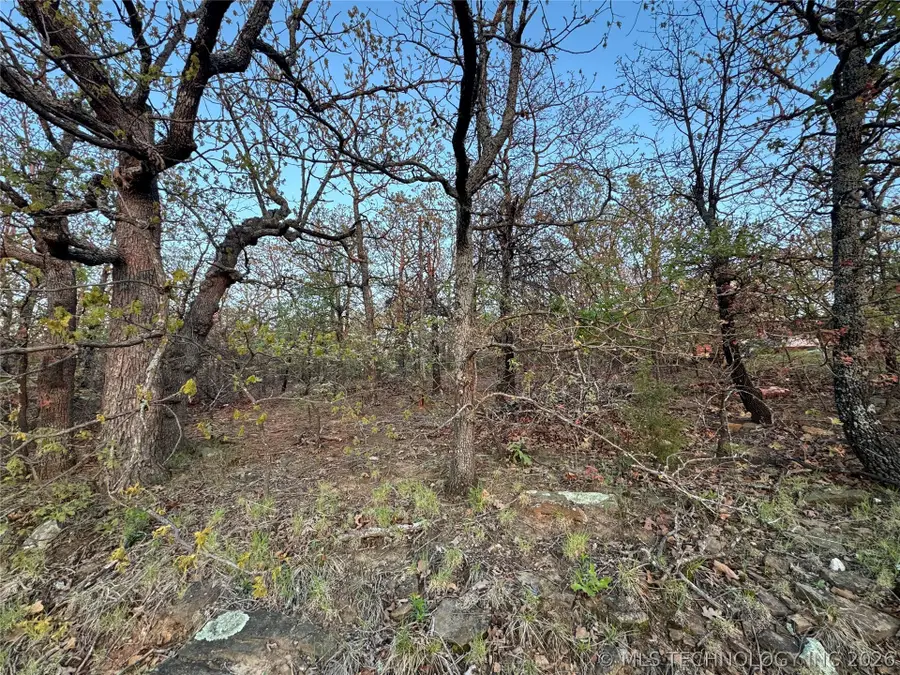 48 Wells Drive, Skiatook, OK 74070 - #3