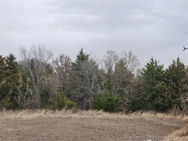 Culp, Burneyville, OK 73430 - #1