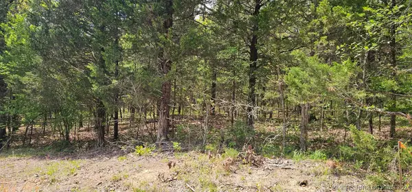 000000 E 1002 Road, Gore, OK 74435