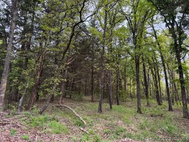 Coalgate, Burneyville, OK 73430 - #2