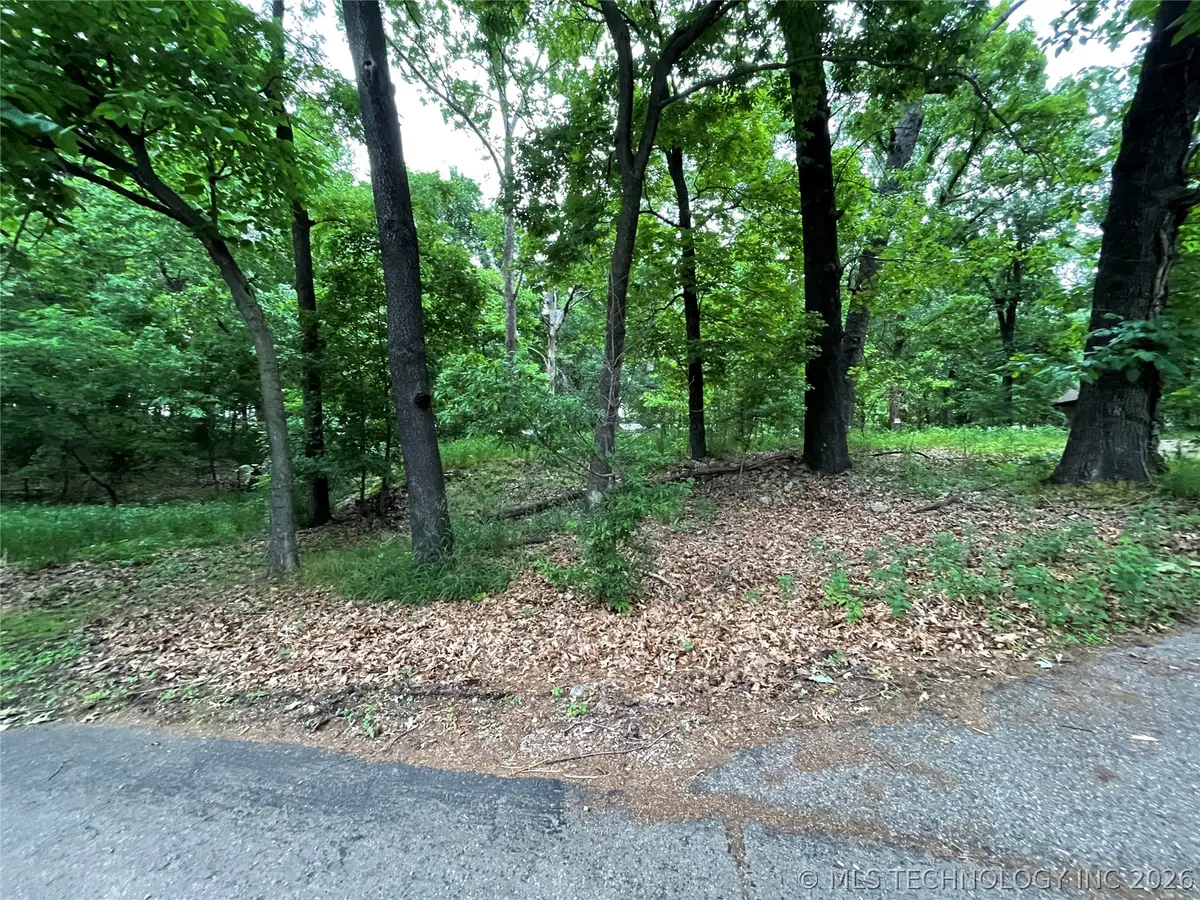 Gran Drive, Afton, OK 74331 - #1