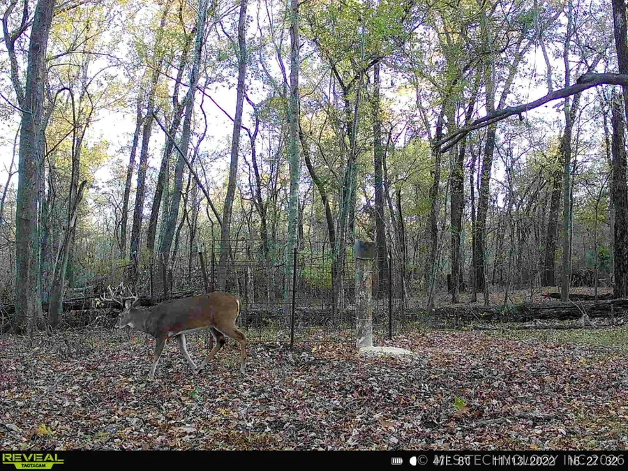 101555 4590 Loop, Vian, OK 74962 - #3