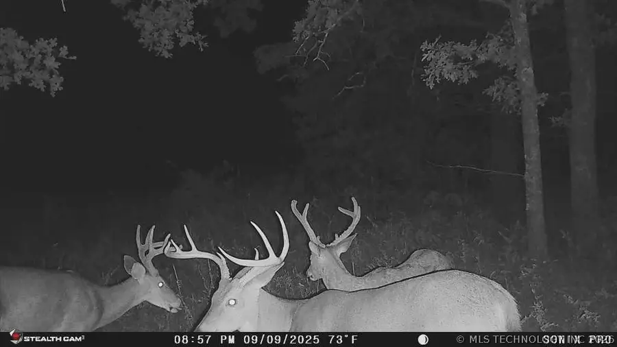 158 Bowring Road, Bartlesville, OK 74003 - #3