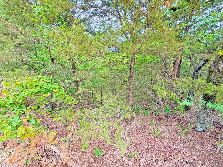 29 Lakeside Drive, Eufaula, OK 74432 - #3