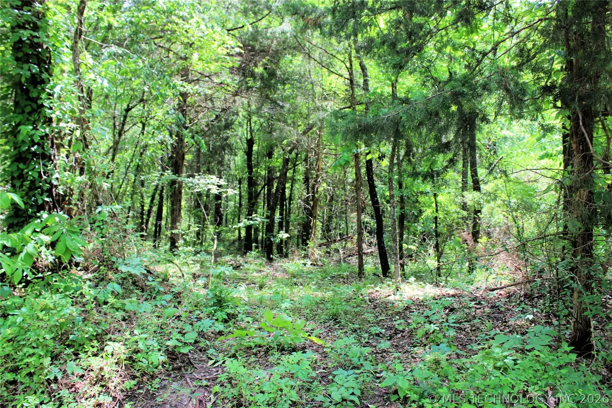 20 E 2100 Road, Boswell, OK 74727 - #1