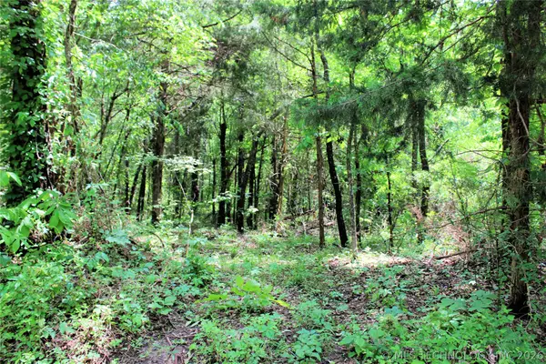 20 E 2100 Road, Boswell, OK 74727