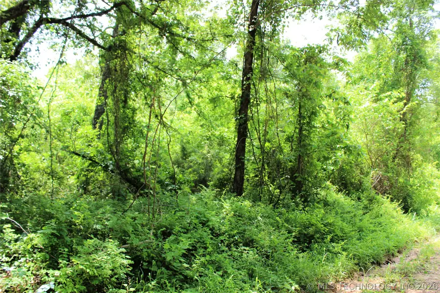 20 E 2100 Road, Boswell, OK 74727 - #2