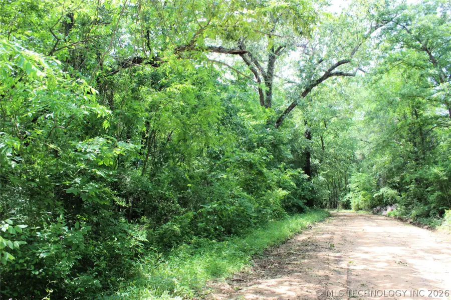 20 E 2100 Road, Boswell, OK 74727 - #3