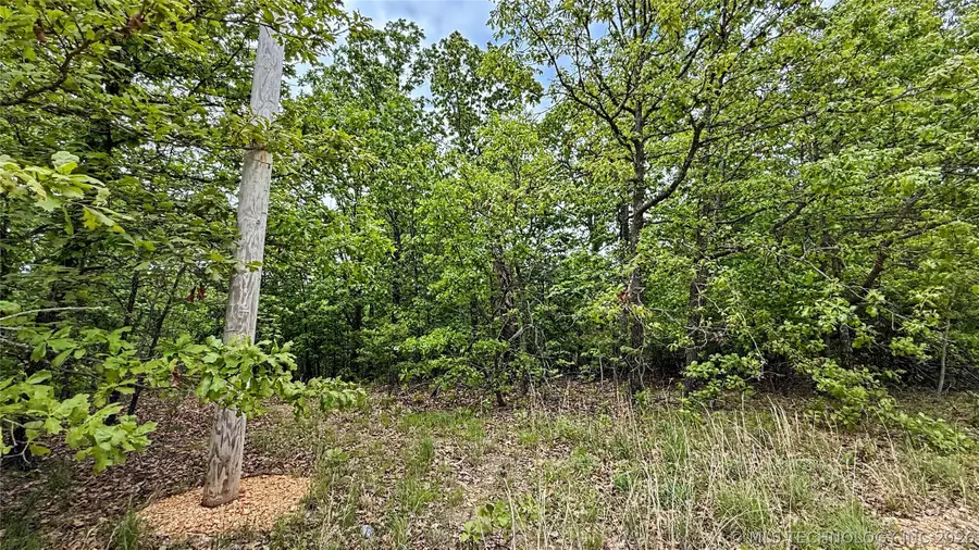 28077 Lame Deer Ridge Road, Proctor, OK 74457 - #2