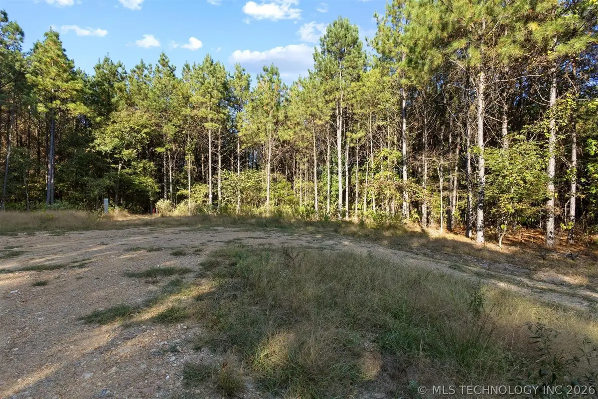 134 Wolf Tree Trail, Broken Bow, OK 74728 - #1
