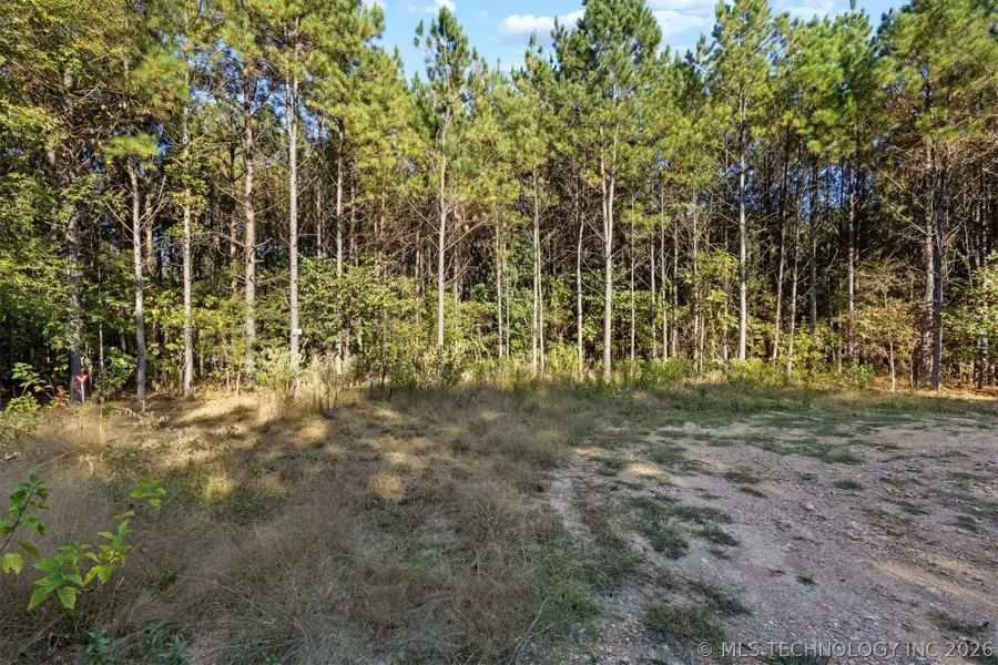 134 Wolf Tree Trail, Broken Bow, OK 74728 - #2