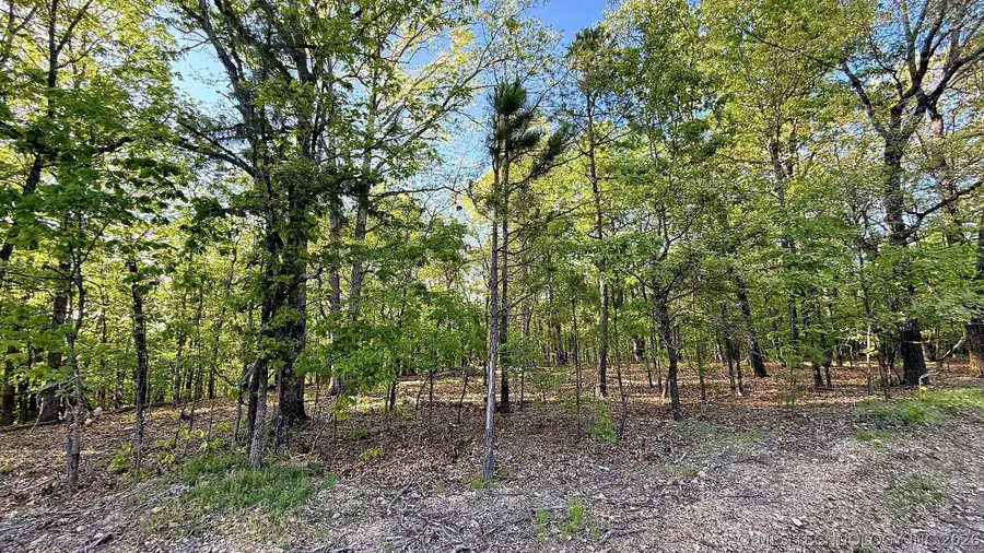 187 Bear Lake Road, Kansas, OK 74347 - #3
