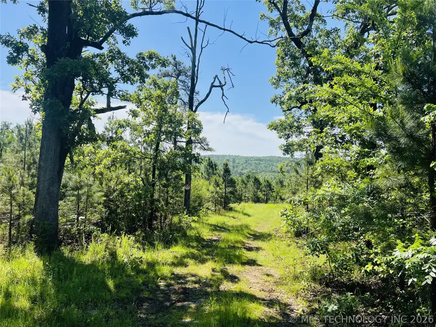 0000 4289 Road, Clayton, OK 74536 - #3