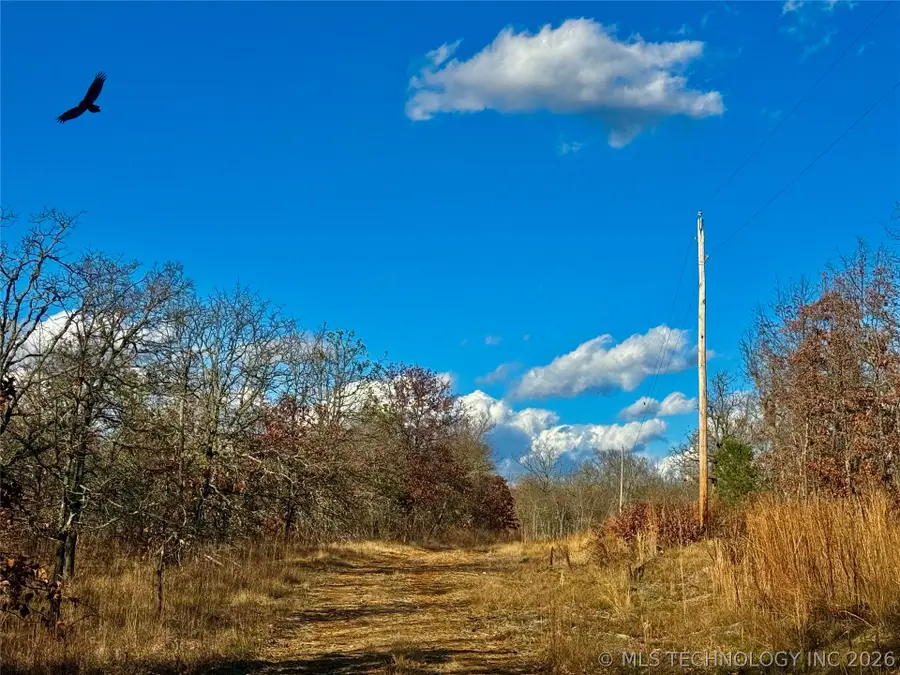 S 4547 Road, Vian, OK 74962 - #3