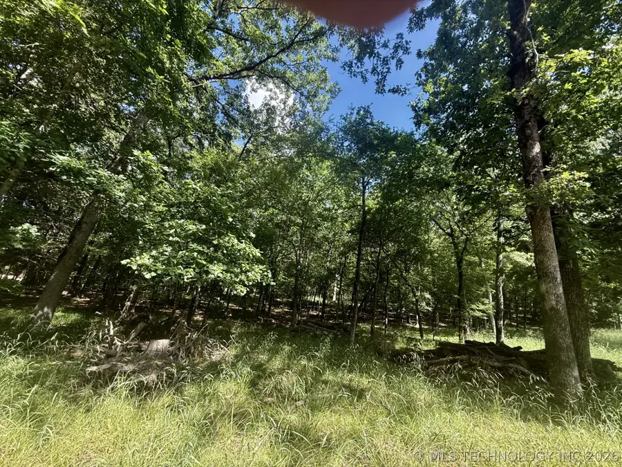 337 Bailey Boulevard, Tahlequah, OK 74464 - #3