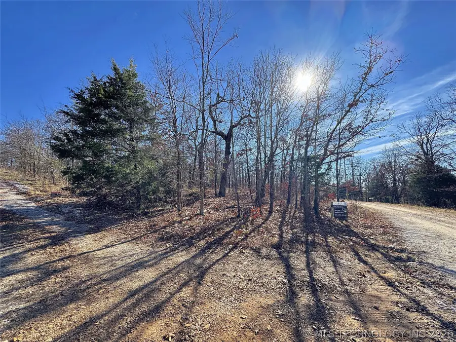 95001 S 4556 Road, Vian, OK 74962 - #2