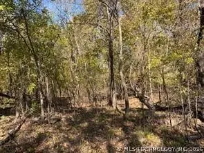 687 Road, Locust Grove, OK 74352