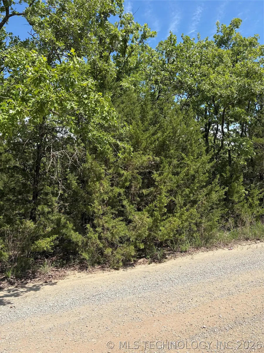 13 Stagecoach Trail, Osage, OK 74054 - #2