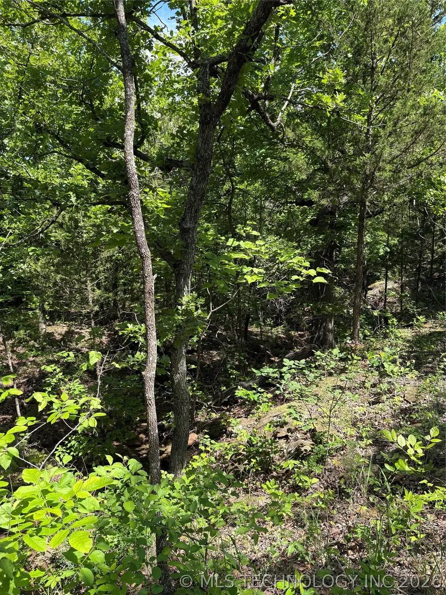 14 Stagecoach Trail, Osage, OK 74054 - #3