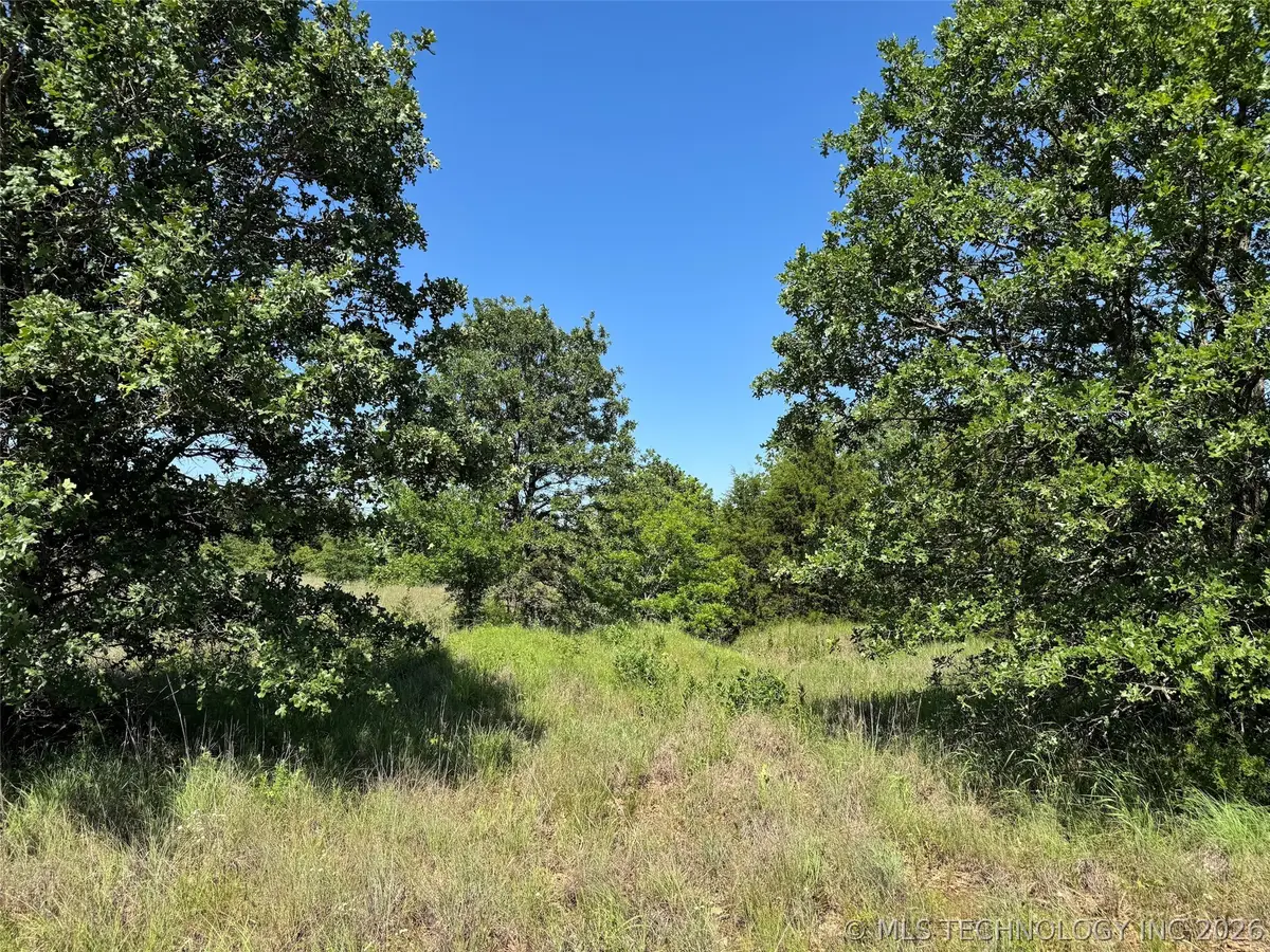 2670 Buck Horn Road, Healdton, OK 73438 - #1