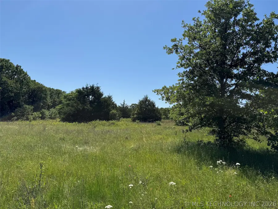 2670 Buck Horn Road, Healdton, OK 73438 - #2