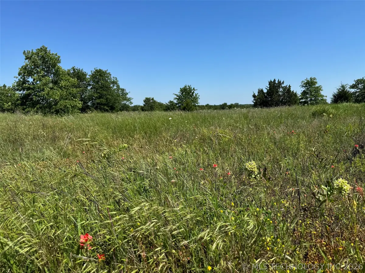 2664 Buck Horn Road, Healdton, OK 73438 - #1