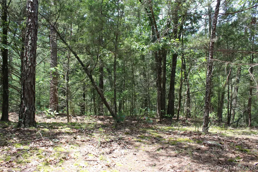 5 E 1909 Road, Antlers, OK 74523 - #3