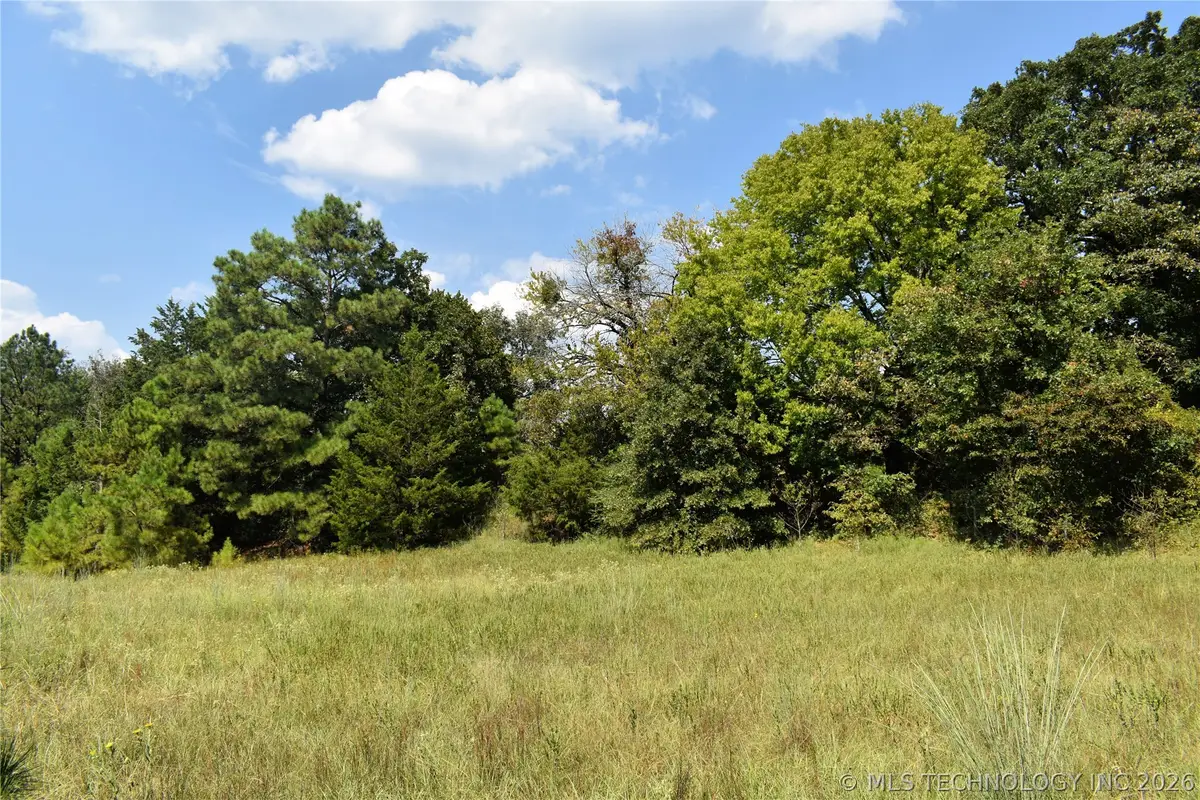 52 Peaceful Home Road, Valliant, OK 74764 - #1