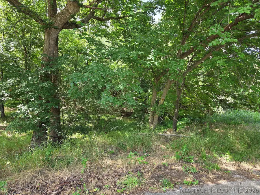 Eagles Nest Drive, Disney, OK 74340 - #3