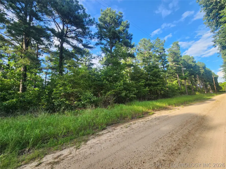 N County Road, Hugo, OK 74743 - #2