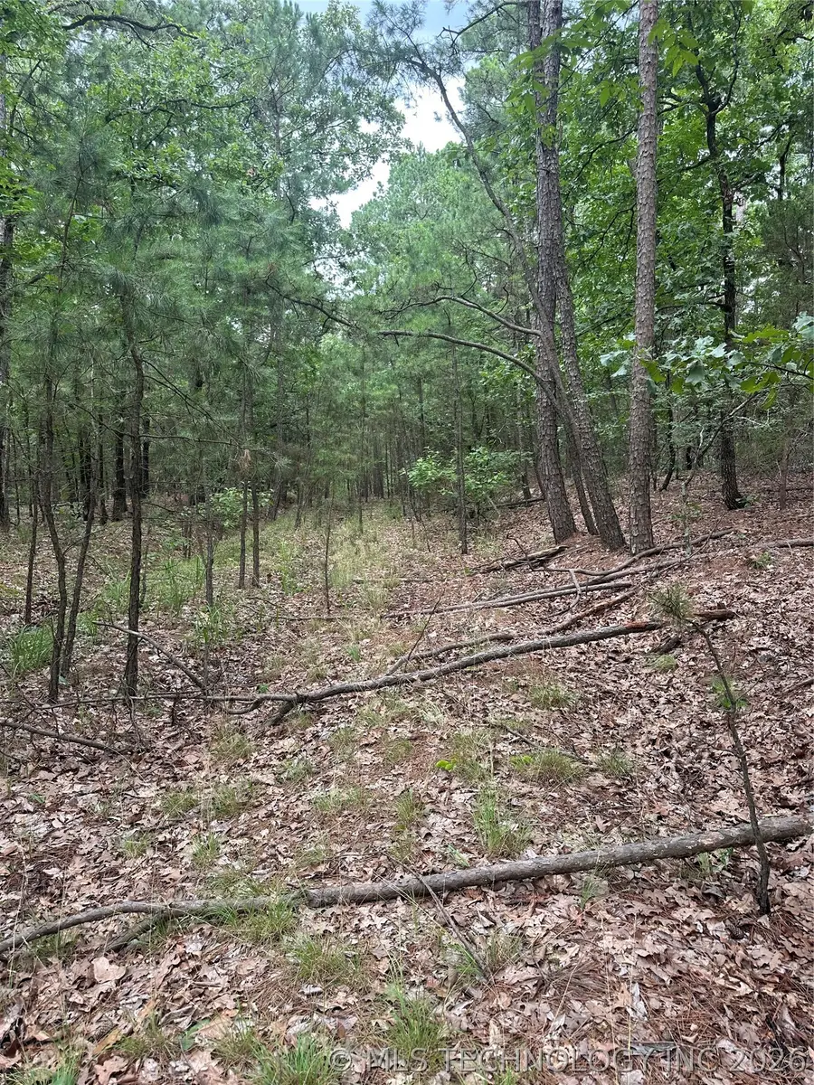 001 Johns Valley Road, Moyers, OK 74557 - #2