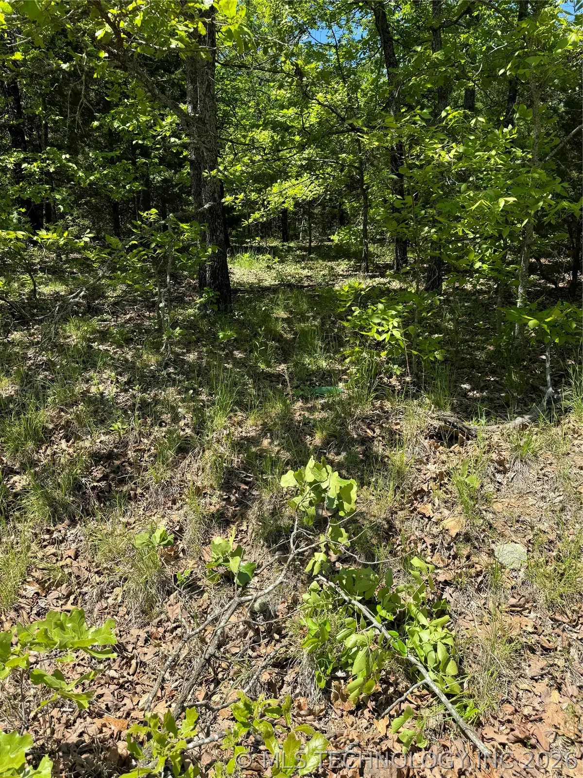 27 S 4532 Road, Vian, OK 74962 - #1