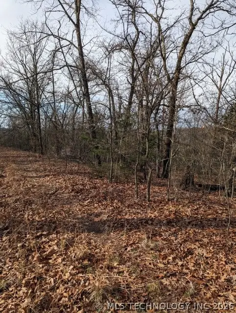4550 Road, Vian, OK 74962 - #3