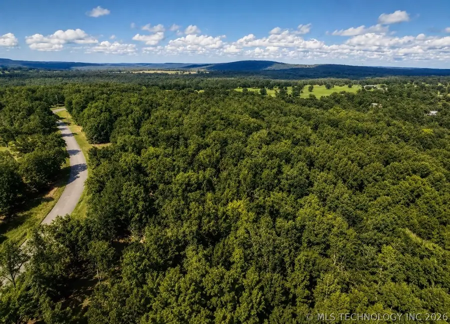 4547 Road, Vian, OK 74962 - #2