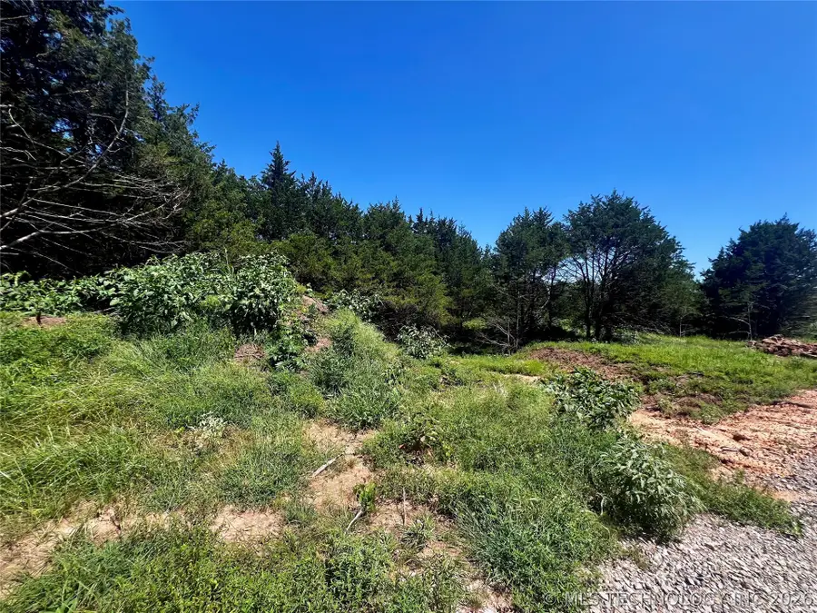 8 Dynamite Road, Agra, OK 74824 - #2