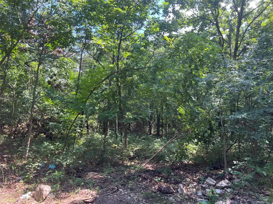 Hwy 412 Alt, Locust Grove, OK 74352 - #3