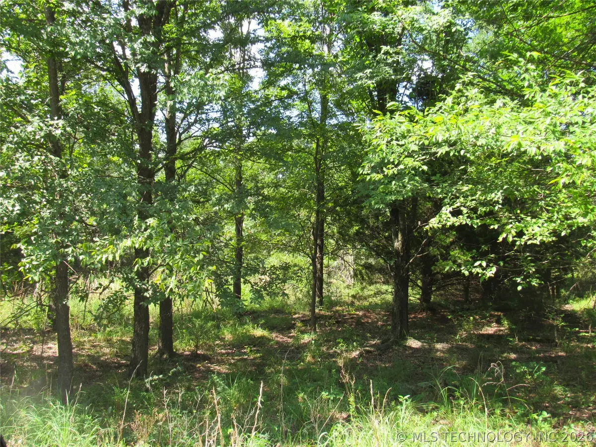 00 N 4710 Road, Watts, OK 74964 - #1