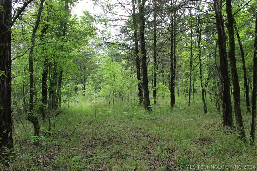 Hwy 1, Wilburton, OK 74578 - #3