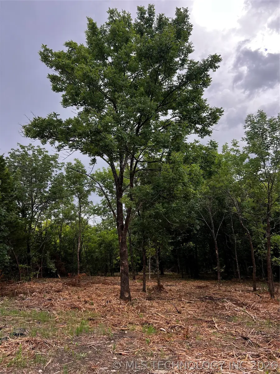 51st Street, Sand Springs, OK 74063 - #3