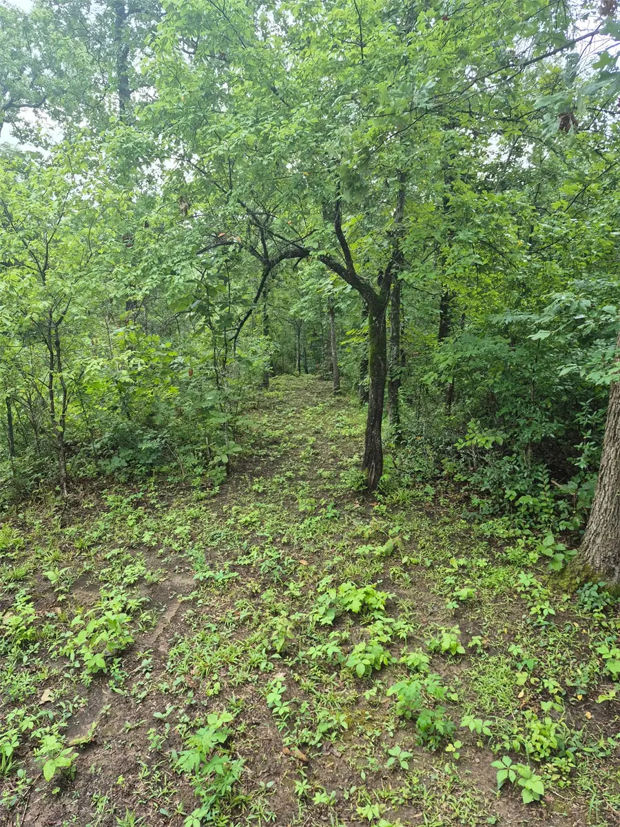 S 4535 Road, Vian, OK 74962 - #3