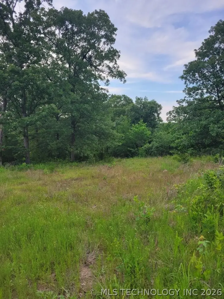 140 Gaines Creek, Canadian, OK 74425 - #3