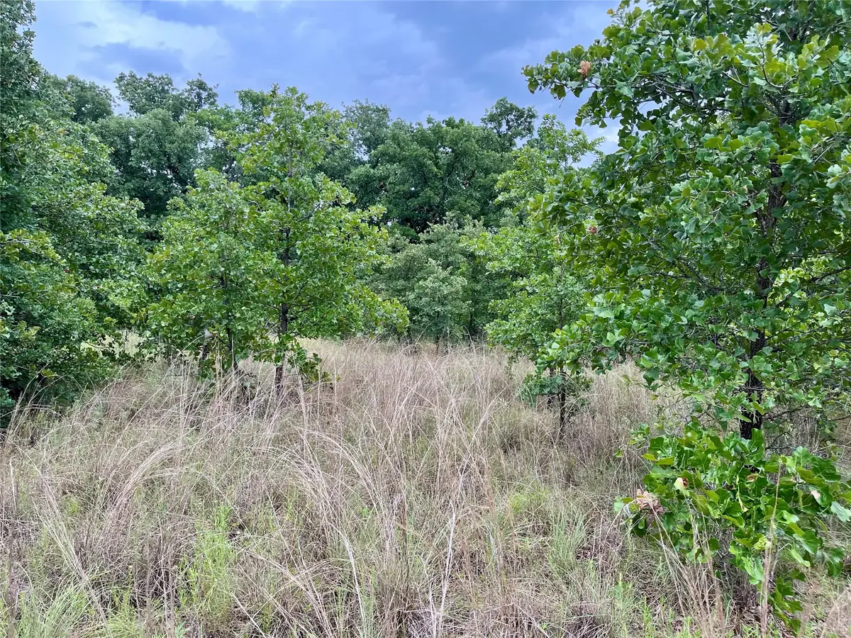 Maverick Road, Wilson, OK 73463 - #1